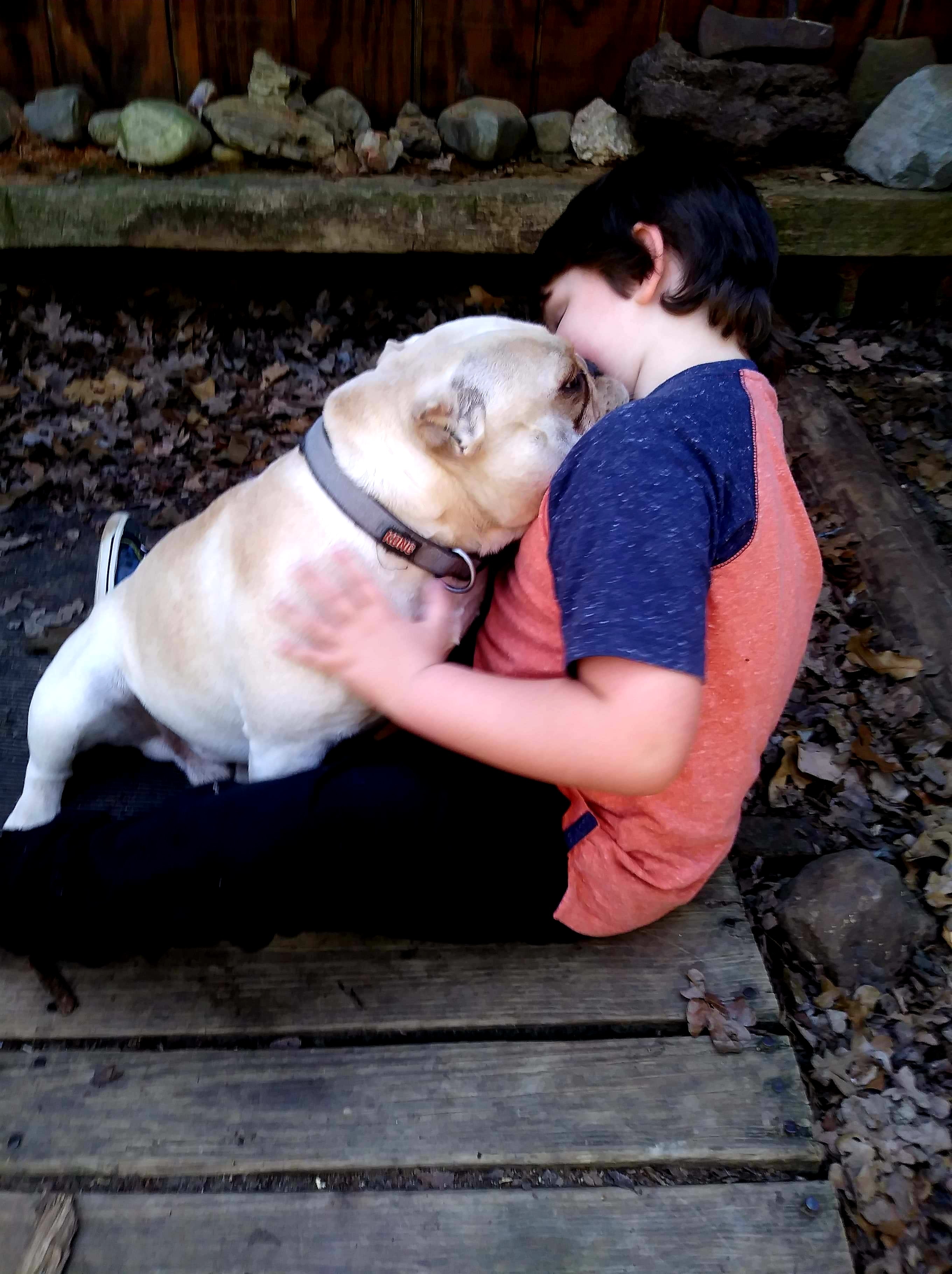 Child meeting their dog for the first time